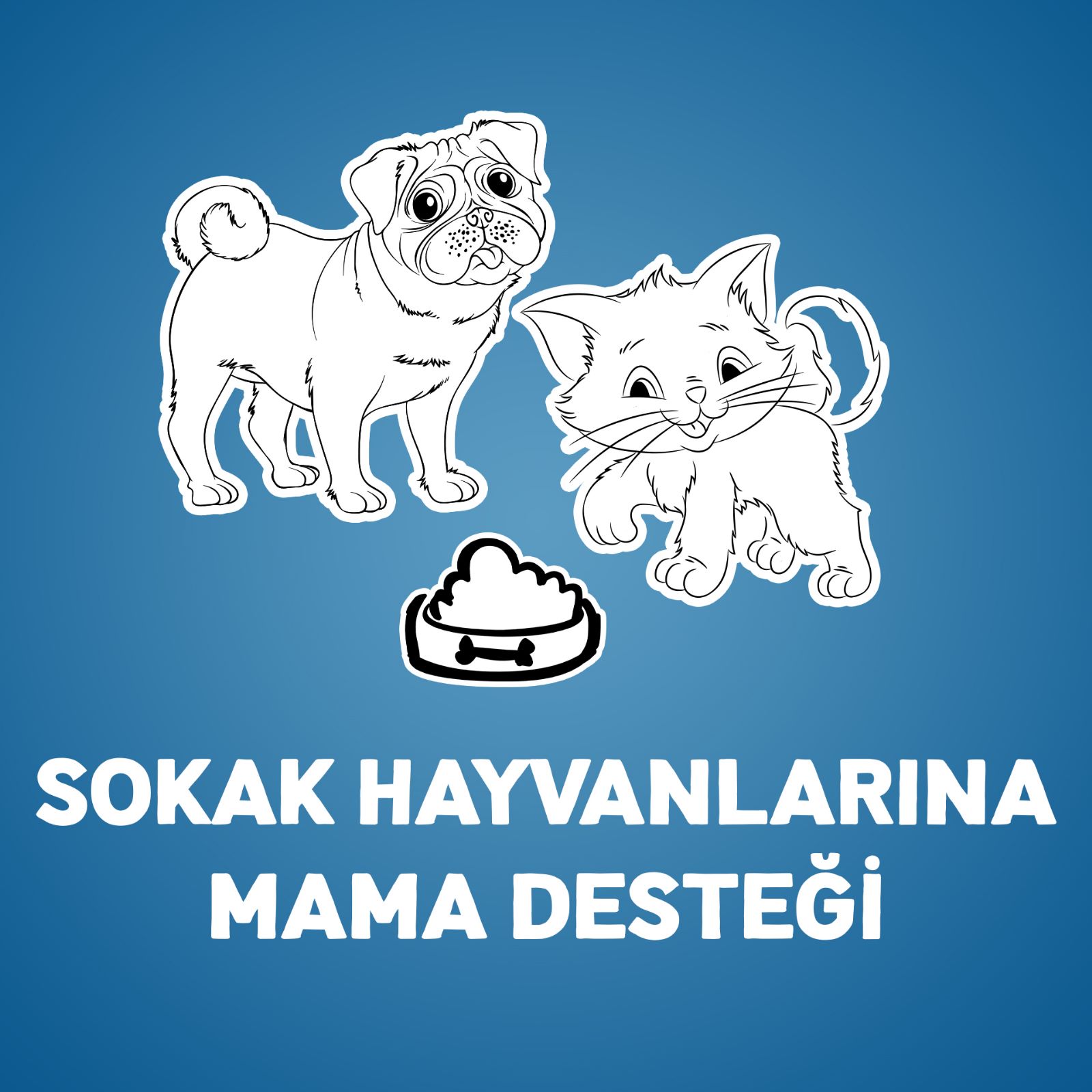 Sokak Hayvanlarına Mama Desteği
